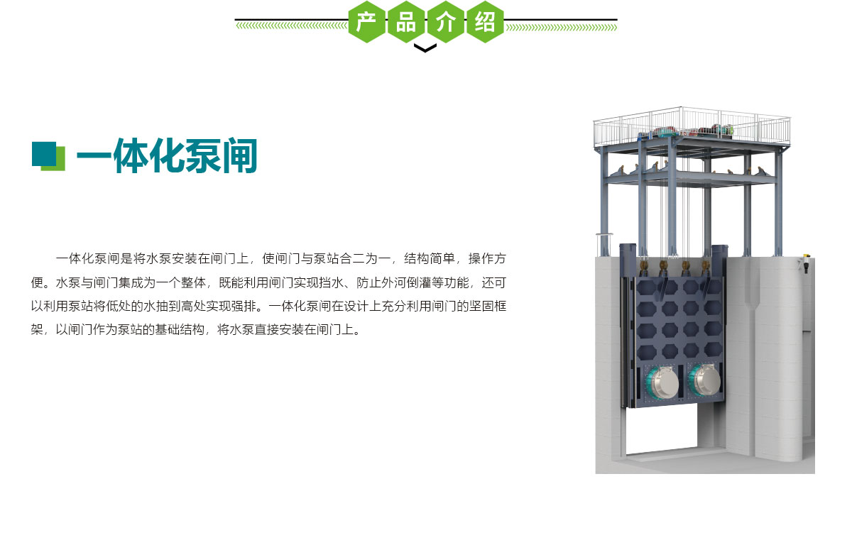 一體化泵閘,華南泵業